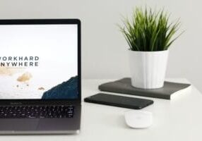Laptop on desk with plant, keyboard and mouse